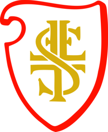 FT Rosenheim Fußball Logo