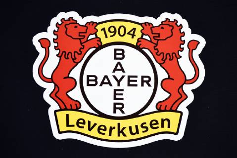 Bayer Leverkusen Fanartikel Logo