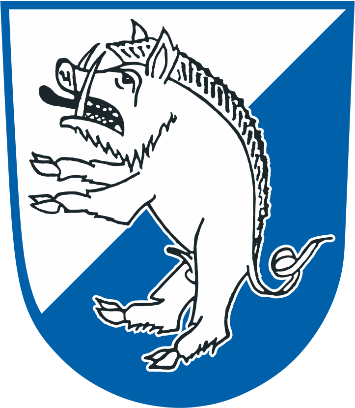 FC Erzingen Logo