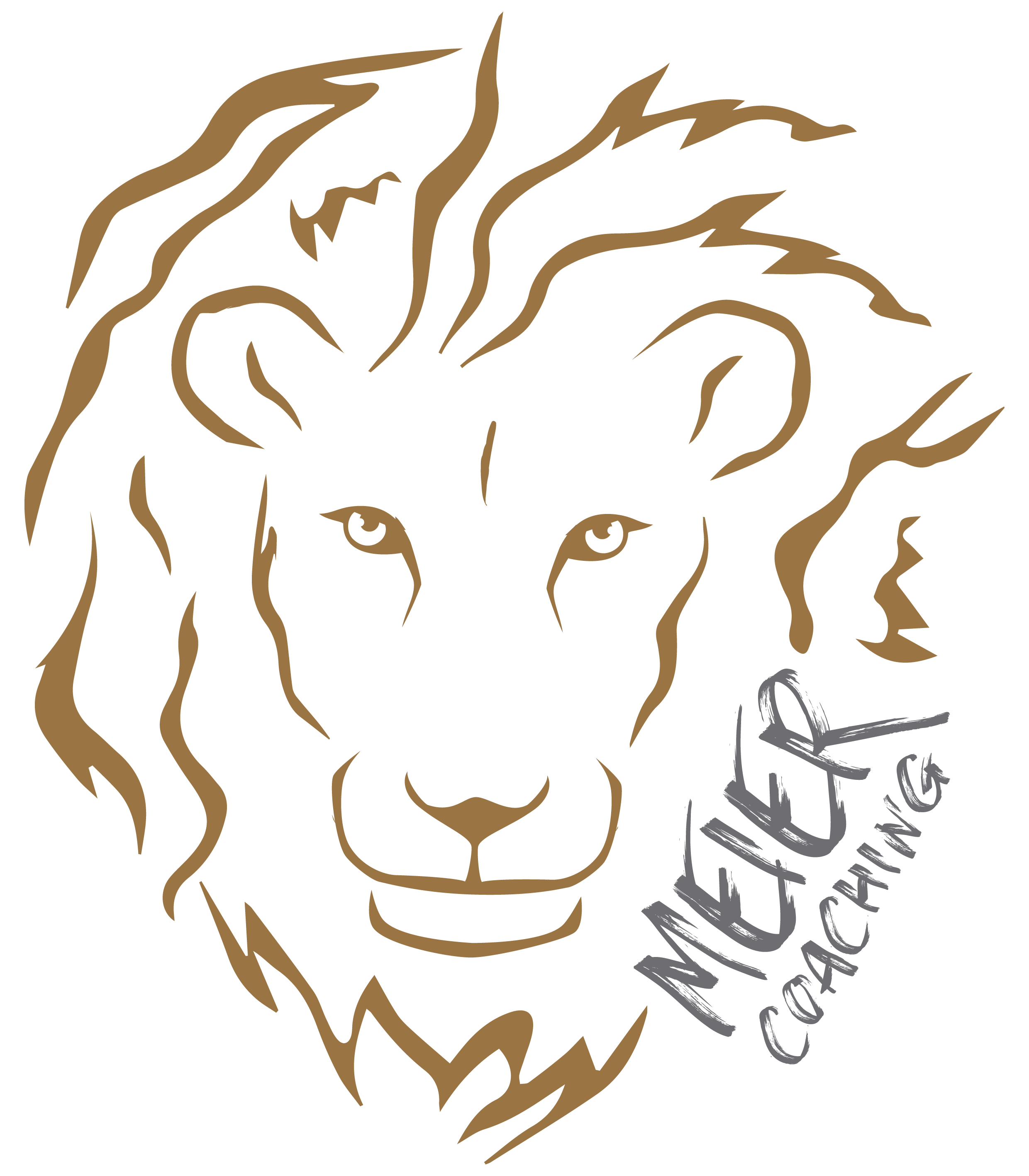 Meier Coaching Logo
