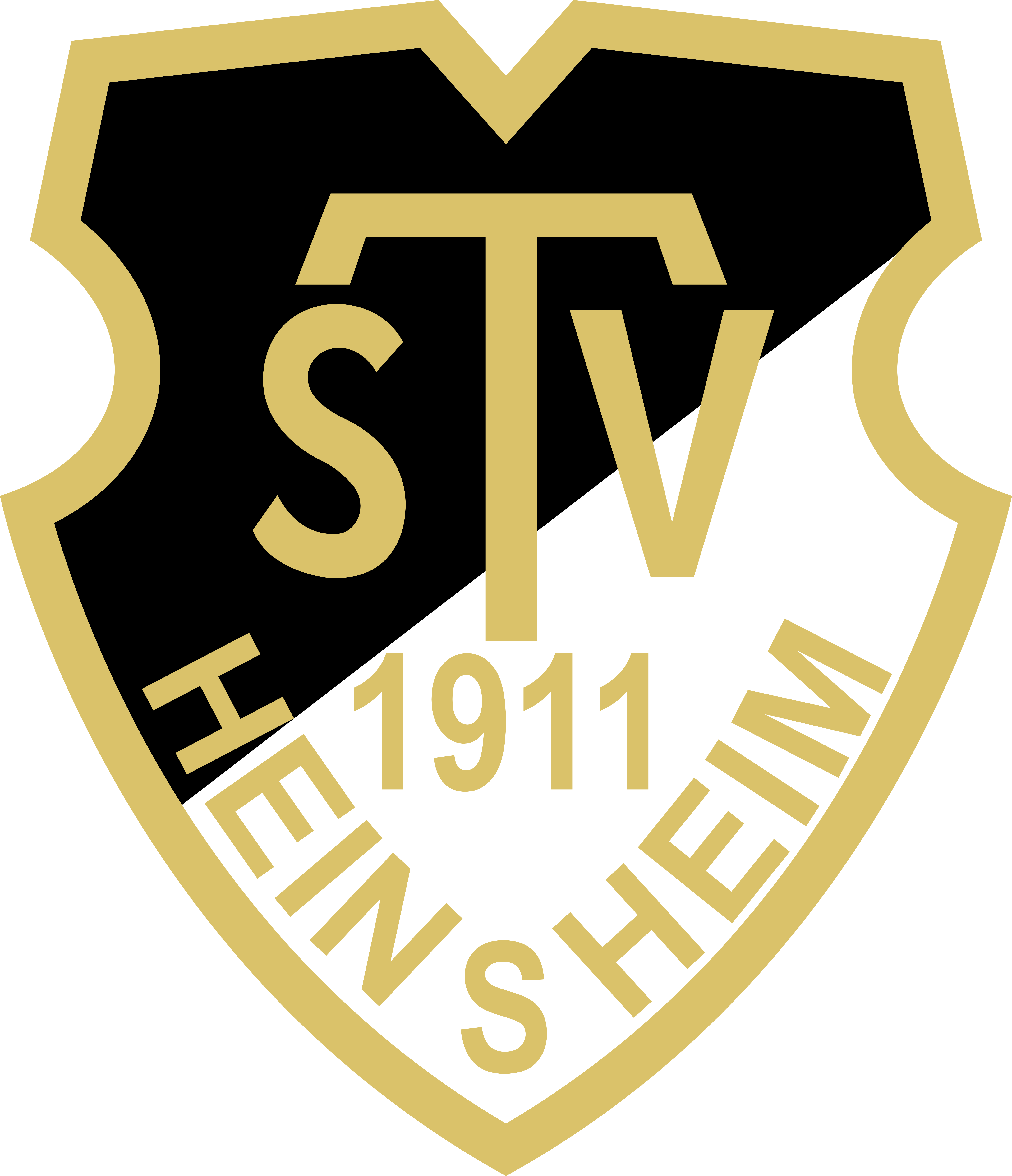 TSV Heinsheim Fussball Logo