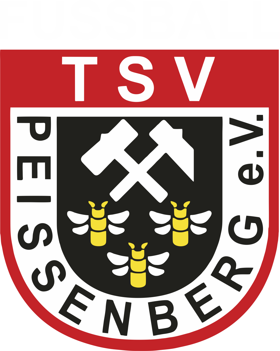 TSV Peissenberg  (Abt. Fussball) Logo