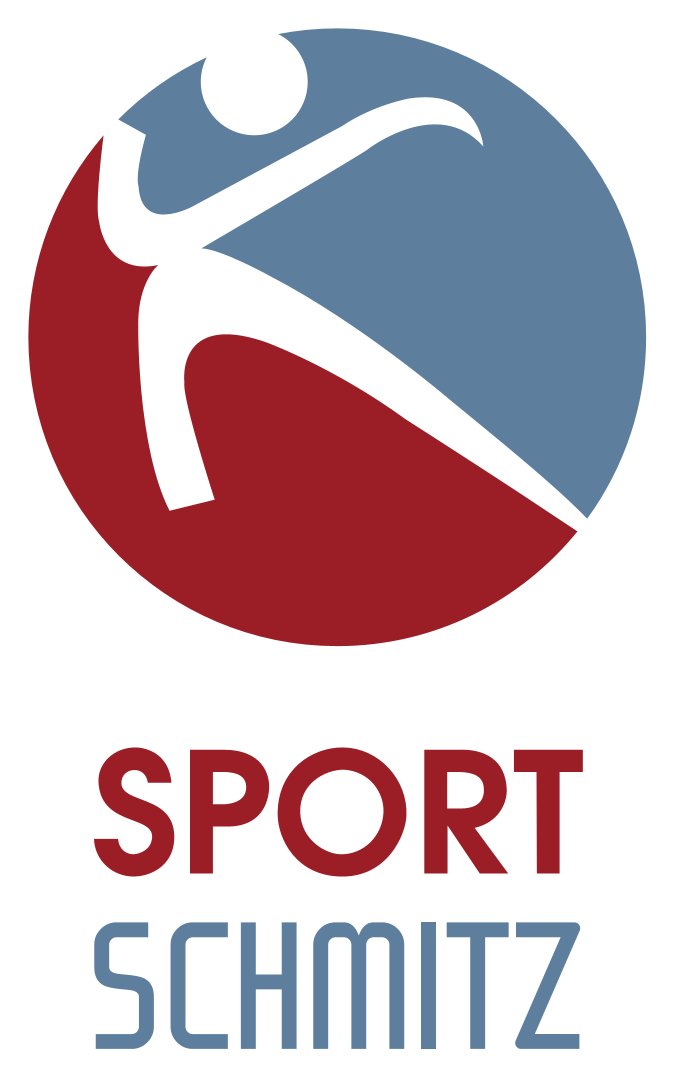 FSV Salmrohr Logo 2