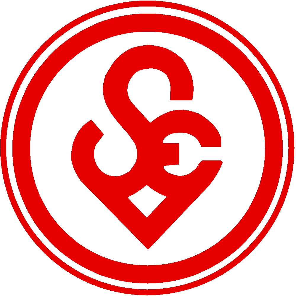 SpVgg Erlangen 2022 Logo