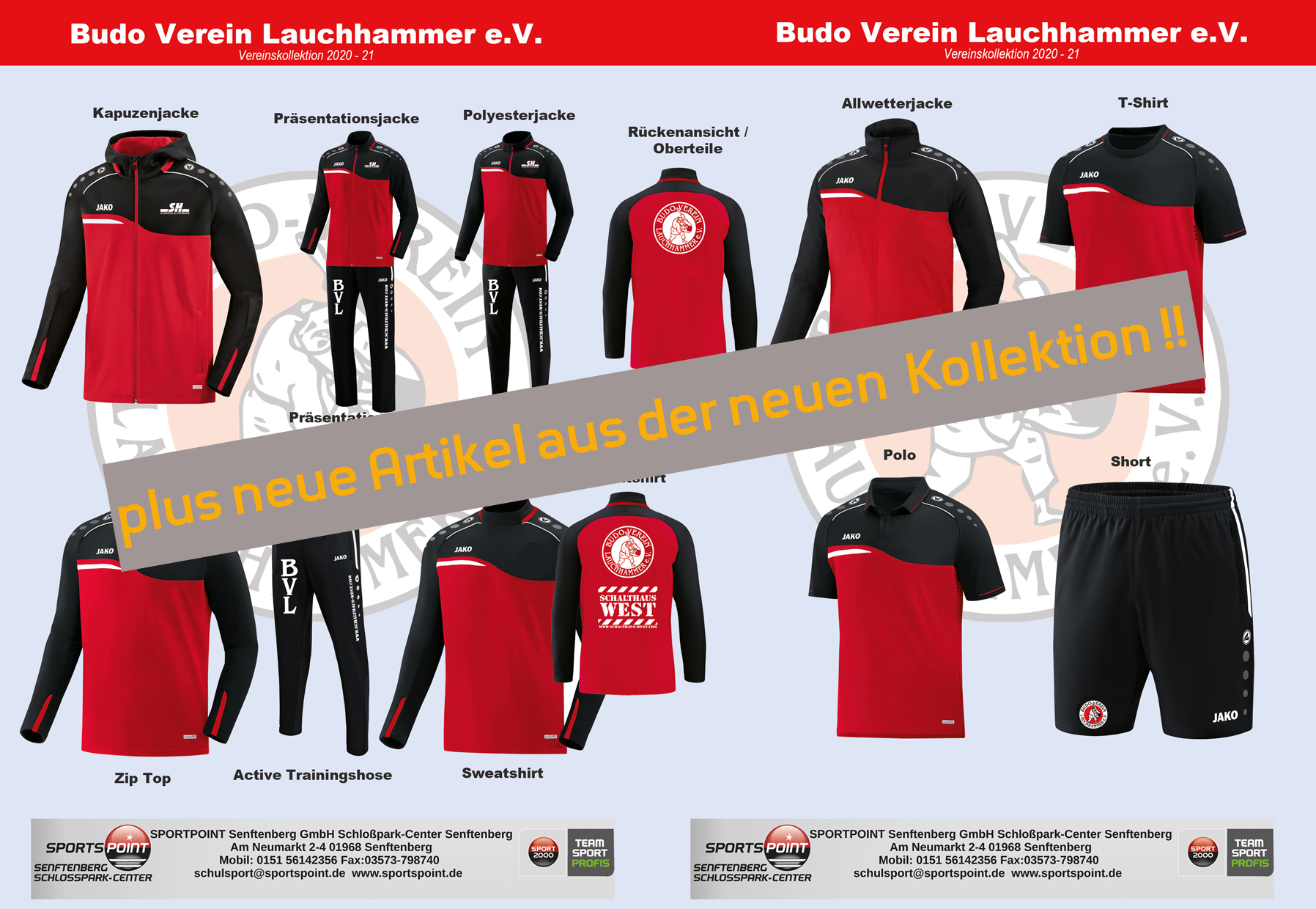 Budo-Verein Lauchhammer Title Image