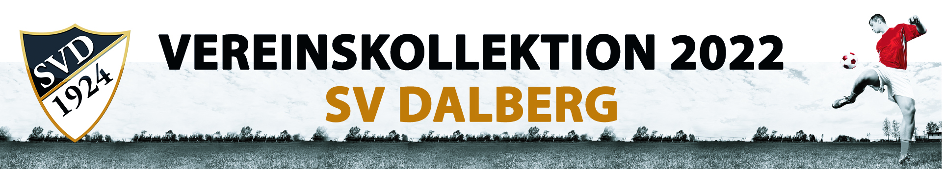 SV Dalberg Title Image